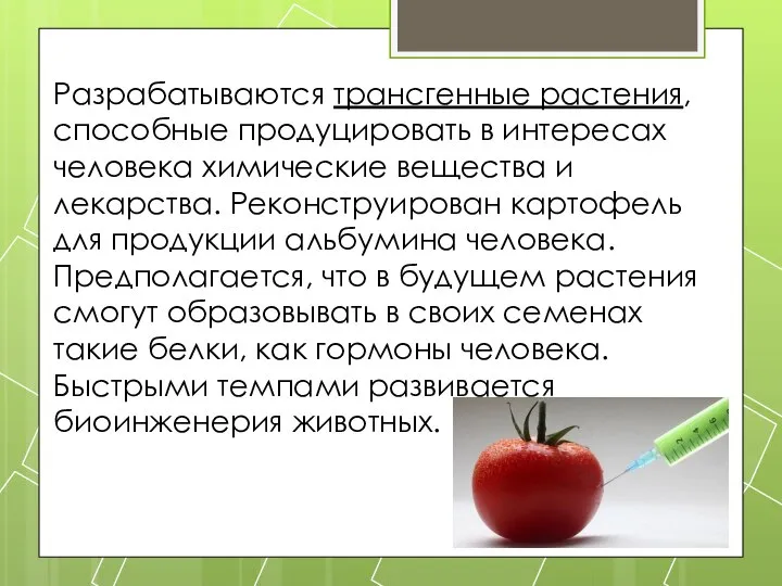 Разрабатываются трансгенные растения, способные продуцировать в интересах человека химические вещества и