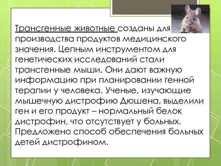 Трансгенные животные созданы для производства продуктов медицинского значения. Цепным инструментом для