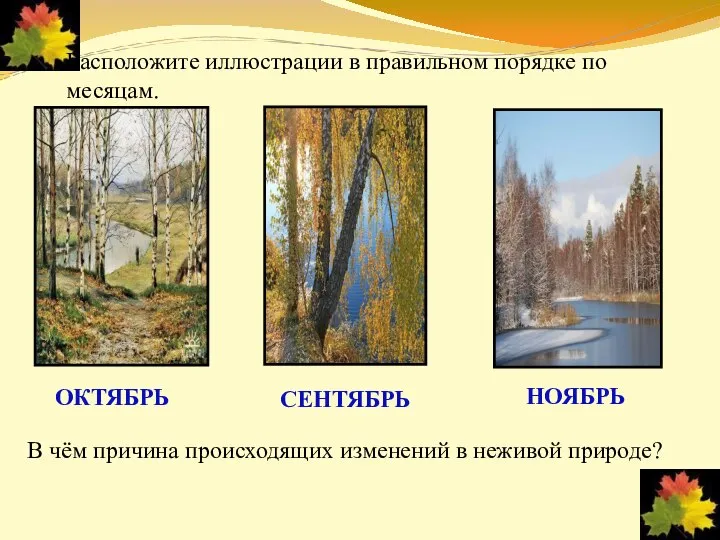 Расположите иллюстрации в правильном порядке по месяцам. СЕНТЯБРЬ ОКТЯБРЬ НОЯБРЬ В