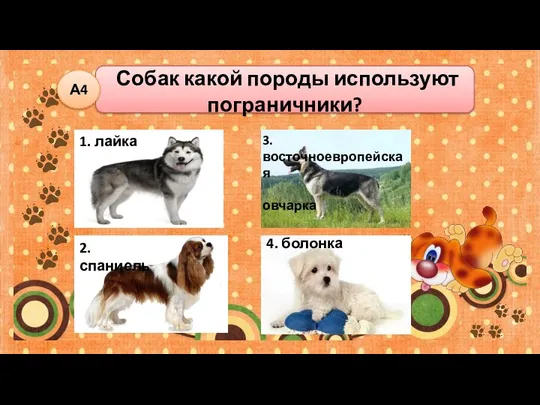 Собак какой породы используют пограничники? А4