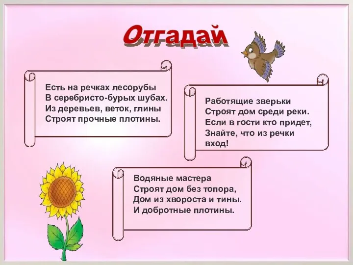 Есть на речках лесорубы В серебристо-бурых шубах. Из деревьев, веток, глины