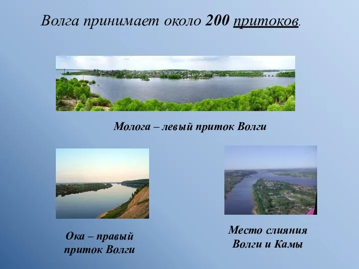 Волга принимает около 200 притоков. Молога – левый приток Волги Ока