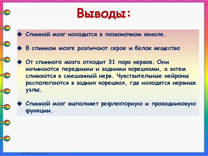 Спинной мозг находится в позвоночном канале. В спинном мозге различают серое