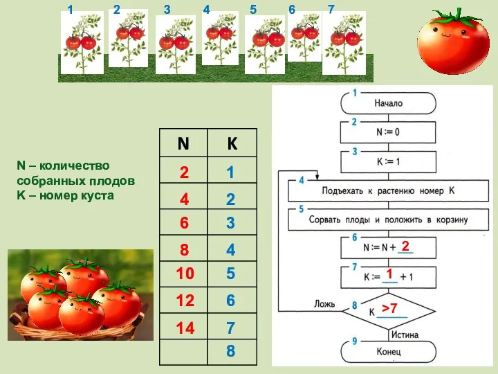 N – количество собранных плодов K – номер куста 1 2