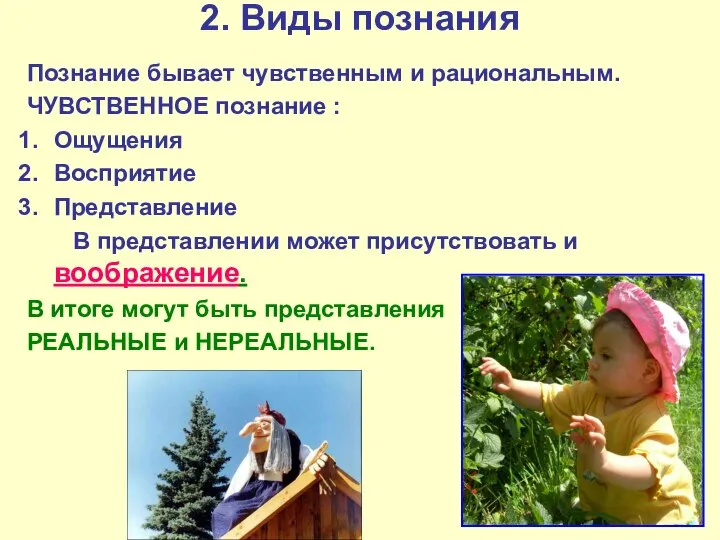 2. Виды познания Познание бывает чувственным и рациональным. ЧУВСТВЕННОЕ познание :