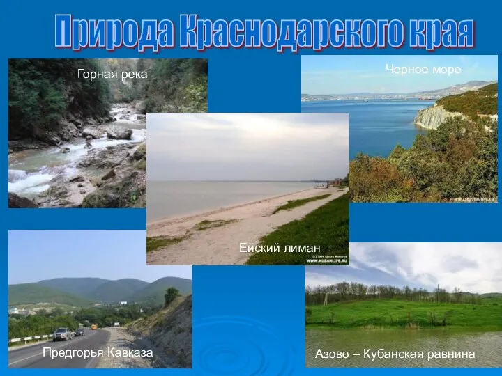 Природа Краснодарского края Предгорья Кавказа