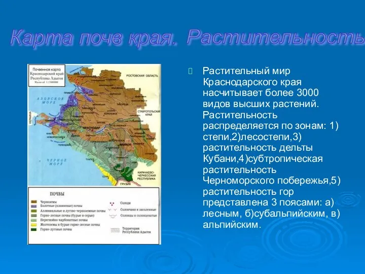 Растительный мир Краснодарского края насчитывает более 3000 видов высших растений. Растительность