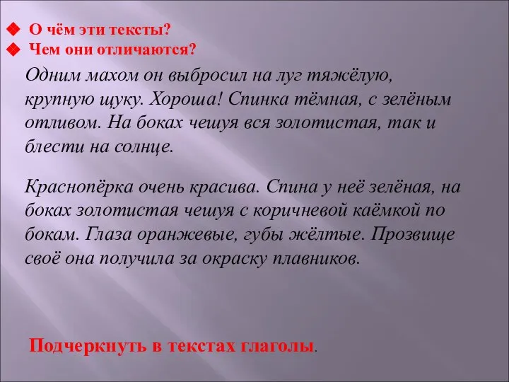 Одним махом он выбросил на луг тяжёлую, крупную щуку. Хороша! Спинка