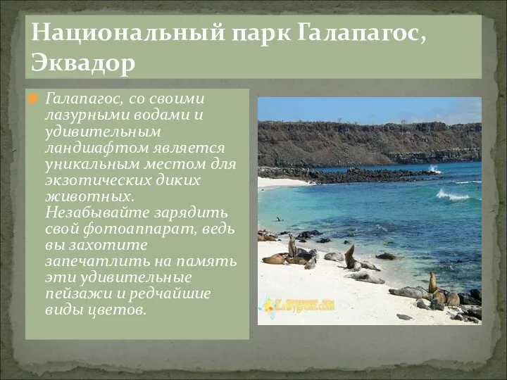 Национальный парк Галапагос, Эквадор Галапагос, со своими лазурными водами и удивительным