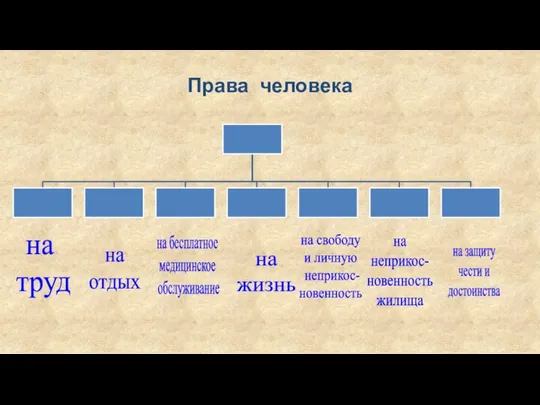 Права человека на труд на отдых на бесплатное медицинское обслуживание на