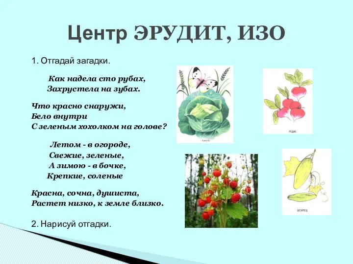 1. Отгадай загадки. Как надела сто рубах, Захрустела на зубах. Что