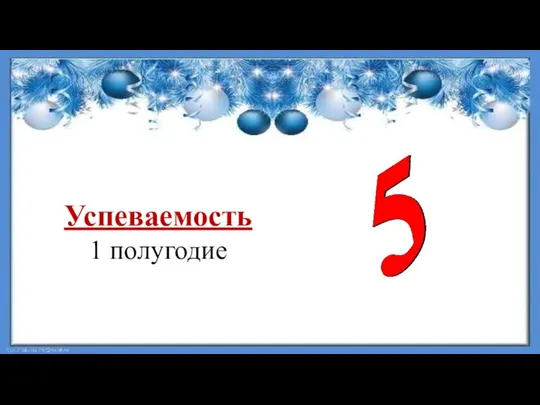 Успеваемость 1 полугодие