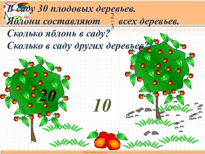 В саду 30 плодовых деревьев. Яблони составляют всех деревьев. Сколько яблонь