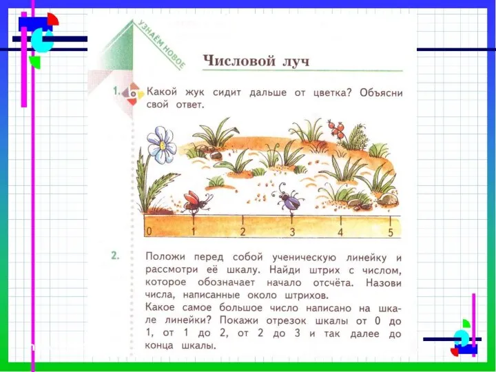 Работа по учебнику стр. 26 Родионова Светлана Николаевна Учитель начальных классов