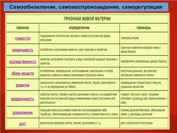 Самообновление, самовоспроизведение, саморегуляция