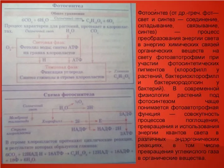 Фотоси́нтез (от др.-греч. фот— свет и синтез — соединение, складывание, связывание,