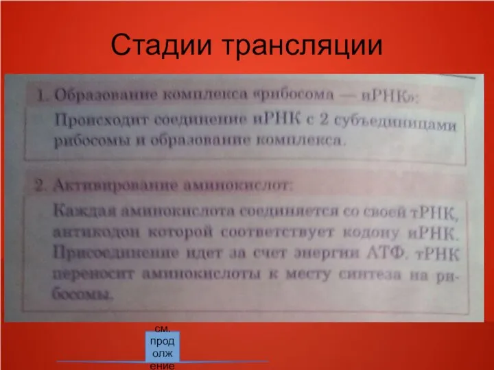 Стадии трансляции см. продолжение