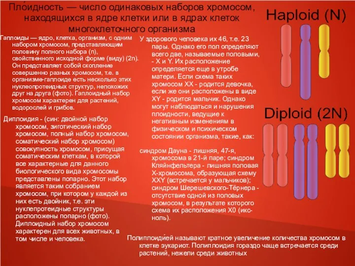 Гаплоиды — ядро, клетка, организм, с одним набором хромосом, представляющим половину