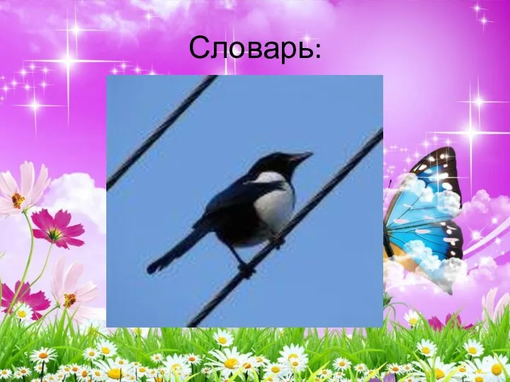 * Словарь: СОРОКА