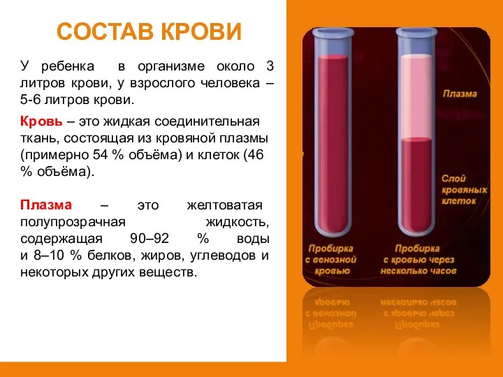 Состав крови У ребенка в организме около 3 литров крови, у