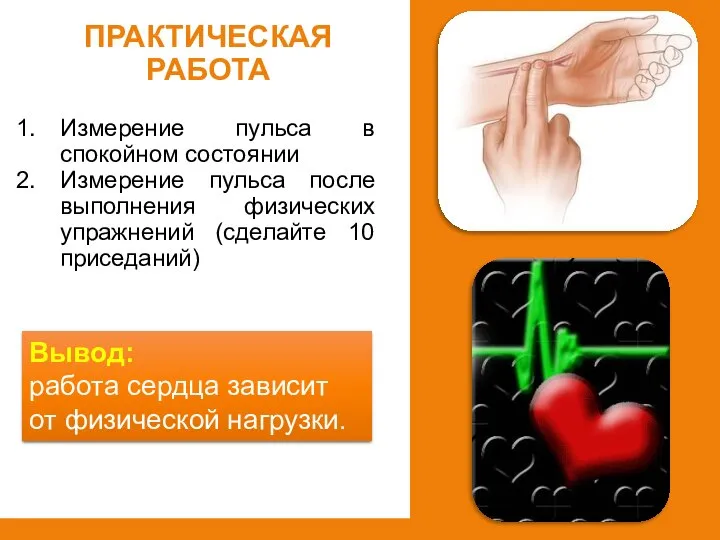 Измерение пульса в спокойном состоянии Измерение пульса после выполнения физических упражнений