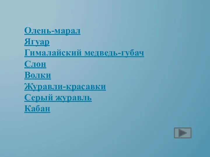 Олень-марал Ягуар Гималайский медведь-губач Слон Волки Журавли-красавки Серый журавль Кабан