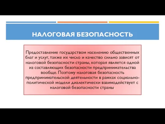 Налоговая безопасность