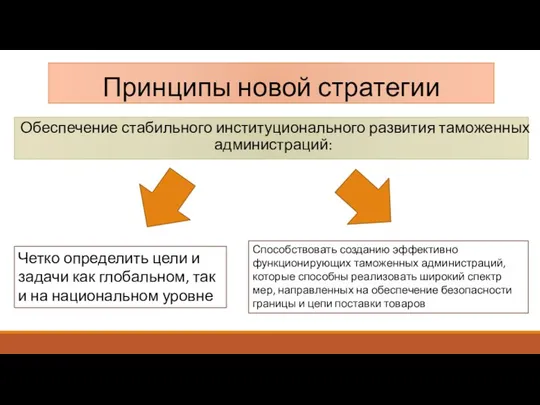 Обеспечение стабильного институционального развития таможенных администраций: Принципы новой стратегии Четко определить