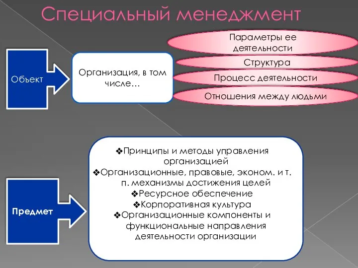 Специальный менеджмент Объект Предмет Организация, в том числе… Параметры ее деятельности