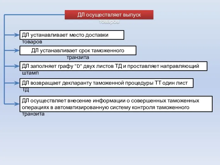 ДЛ осуществляет выпуск товаров ДЛ устанавливает место доставки товаров ДЛ устанавливает