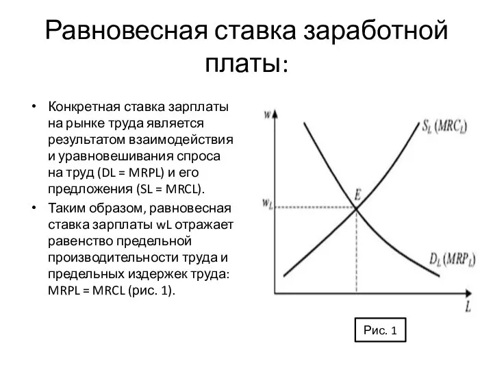 Равновесная ставка заработной платы: Конкретная ставка зарплаты на рынке труда является