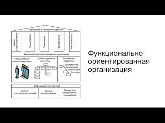 Функционально-ориентированная организация