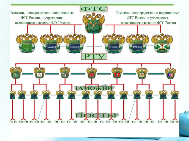 К звеньям управления в системе таможенных органов относятся: ФТС России, управления