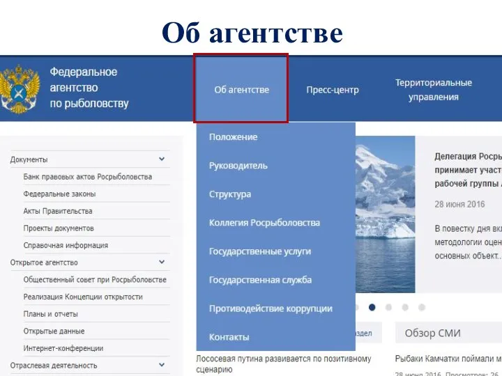 Об агентстве