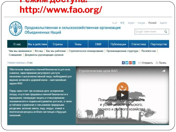 Режим доступа: http://www.fao.org/