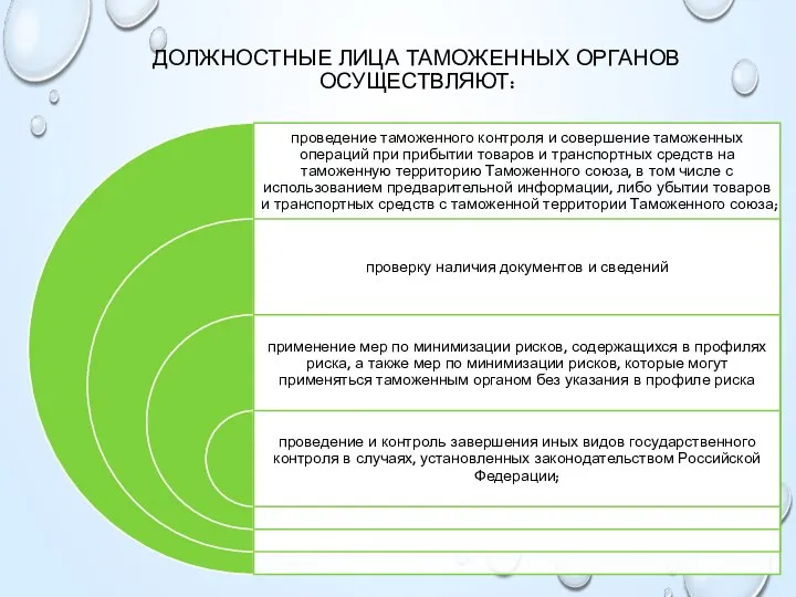 Должностные лица таможенных органов осуществляют: