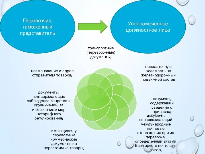 Перевозчик, таможенный представитель Уполномоченное должностное лицо