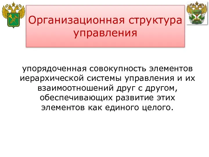 упорядоченная совокупность элементов иерархической системы управления и их взаимоотношений друг с