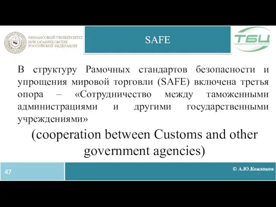 В структуру Рамочных стандартов безопасности и упрощения мировой торговли (SAFE) включена