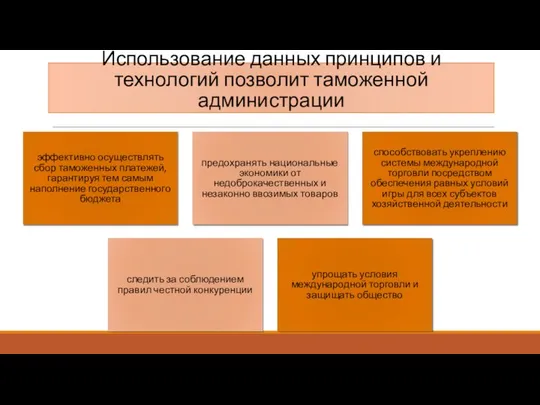 Использование данных принципов и технологий позволит таможенной администрации