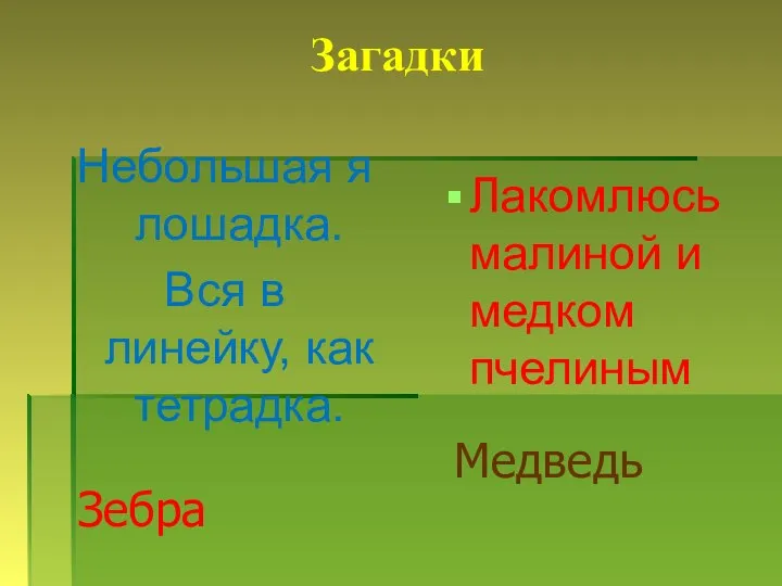 Загадки Небольшая я лошадка. Вся в линейку, как тетрадка. Лакомлюсь малиной и медком пчелиным Зебра Медведь