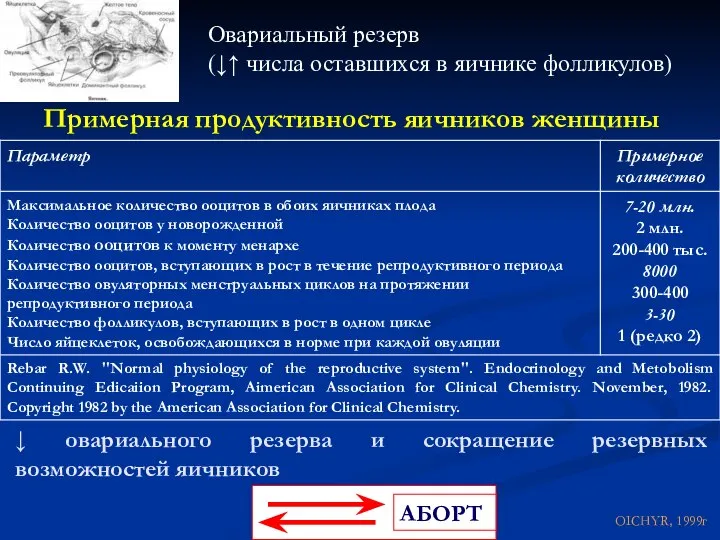 Примерная продуктивность яичников женщины ↓ овариального резерва и сокращение резервных возможностей