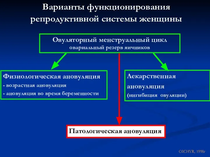 Физиологическая ановуляция - возрастная ановуляция - ановуляция во время беременности Лекарственная