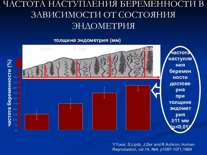 ЧАСТОТА НАСТУПЛЕНИЯ БЕРЕМЕННОСТИ В ЗАВИСИМОСТИ ОТ СОСТОЯНИЯ ЭНДОМЕТРИЯ 6мм 8 мм