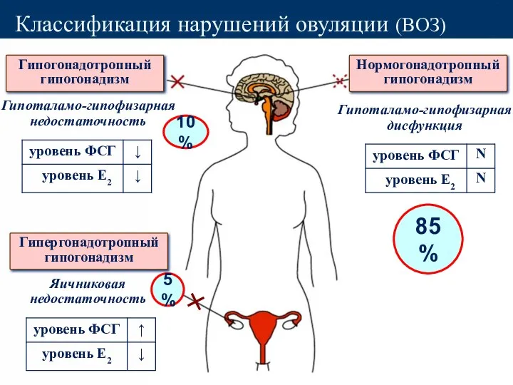 Классификация нарушений овуляции (ВОЗ) Гипогонадотропный гипогонадизм Гипергонадотропный гипогонадизм Нормогонадотропный гипогонадизм Гипоталамо-гипофизарная