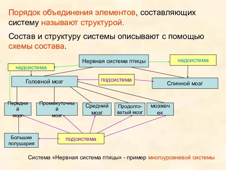 Порядок объединения элементов, составляющих систему называют структурой. Состав и структуру системы