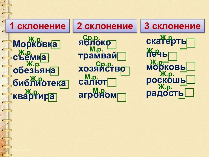 1 склонение 2 склонение 3 склонение Морковка съёмка обезьяна библиотека квартира