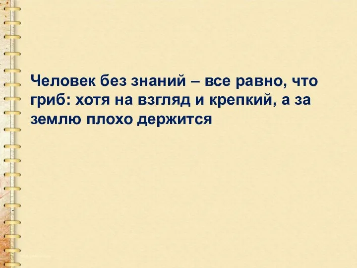 Человек без знаний – все равно, что гриб: хотя на взгляд