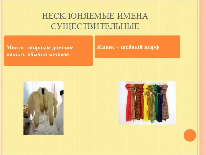 НЕСКЛОНЯЕМЫЕ ИМЕНА СУЩЕСТВИТЕЛЬНЫЕ Манто –широкое дамское пальто, обычно меховое Кашне – шейный шарф