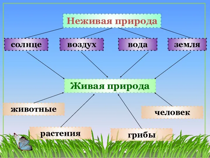 Неживая природа Живая природа солнце воздух вода животные растения человек земля грибы